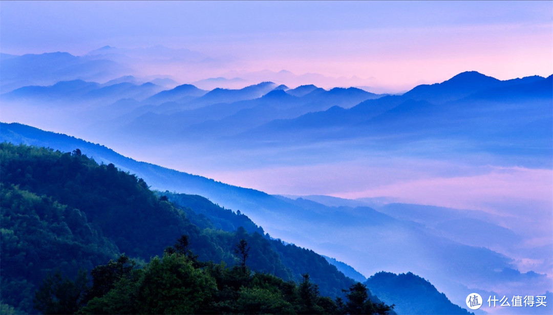 被遺忘的4a級景區重慶永川茶山竹海電影十面埋伏的取景地