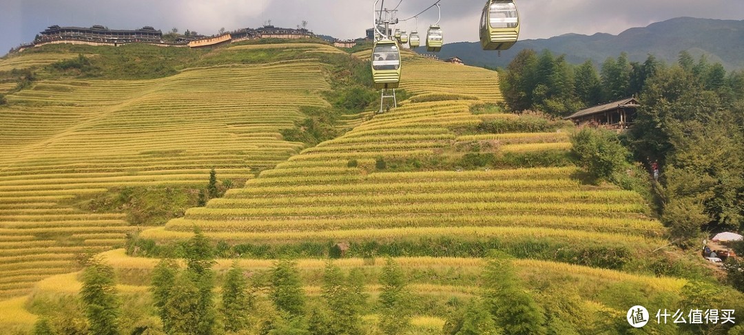 一场刚刚好的金色梯田之旅——龙脊梯田