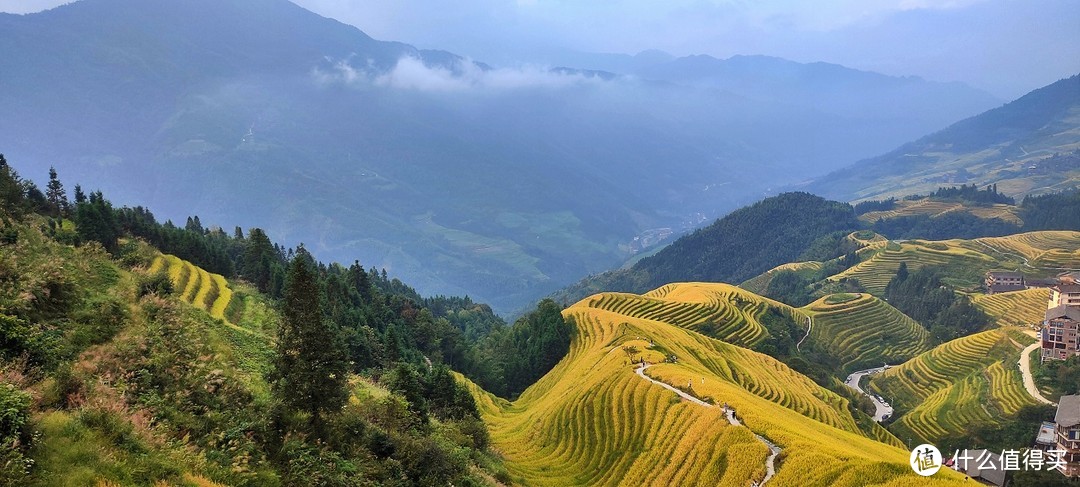 一场刚刚好的金色梯田之旅——龙脊梯田