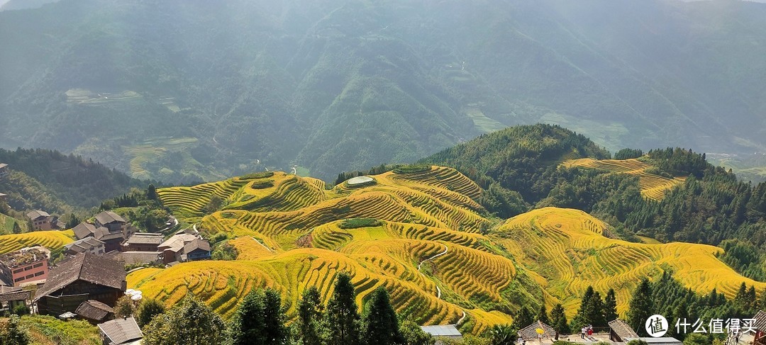 一场刚刚好的金色梯田之旅——龙脊梯田