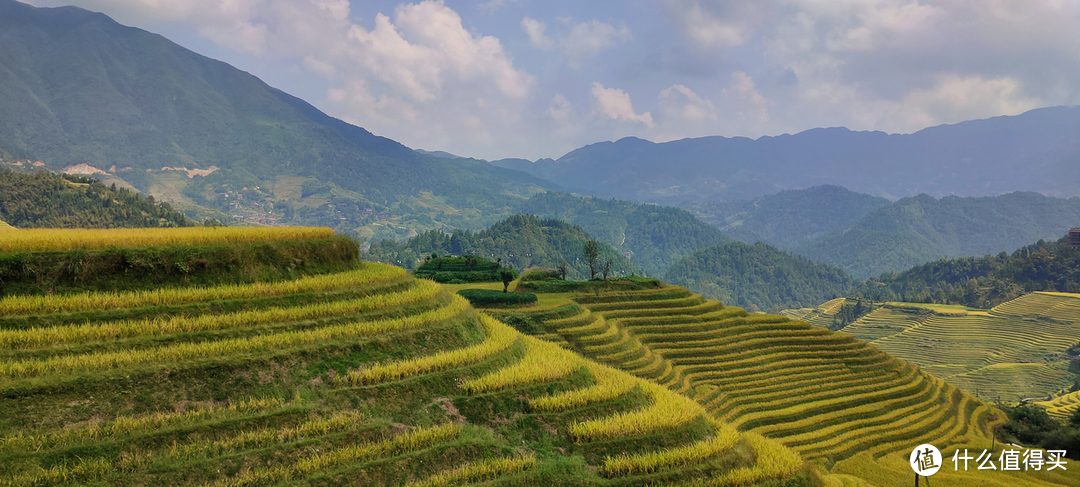 一场刚刚好的金色梯田之旅——龙脊梯田