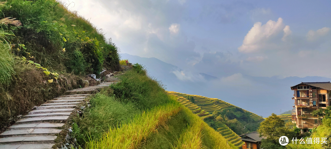 一场刚刚好的金色梯田之旅——龙脊梯田