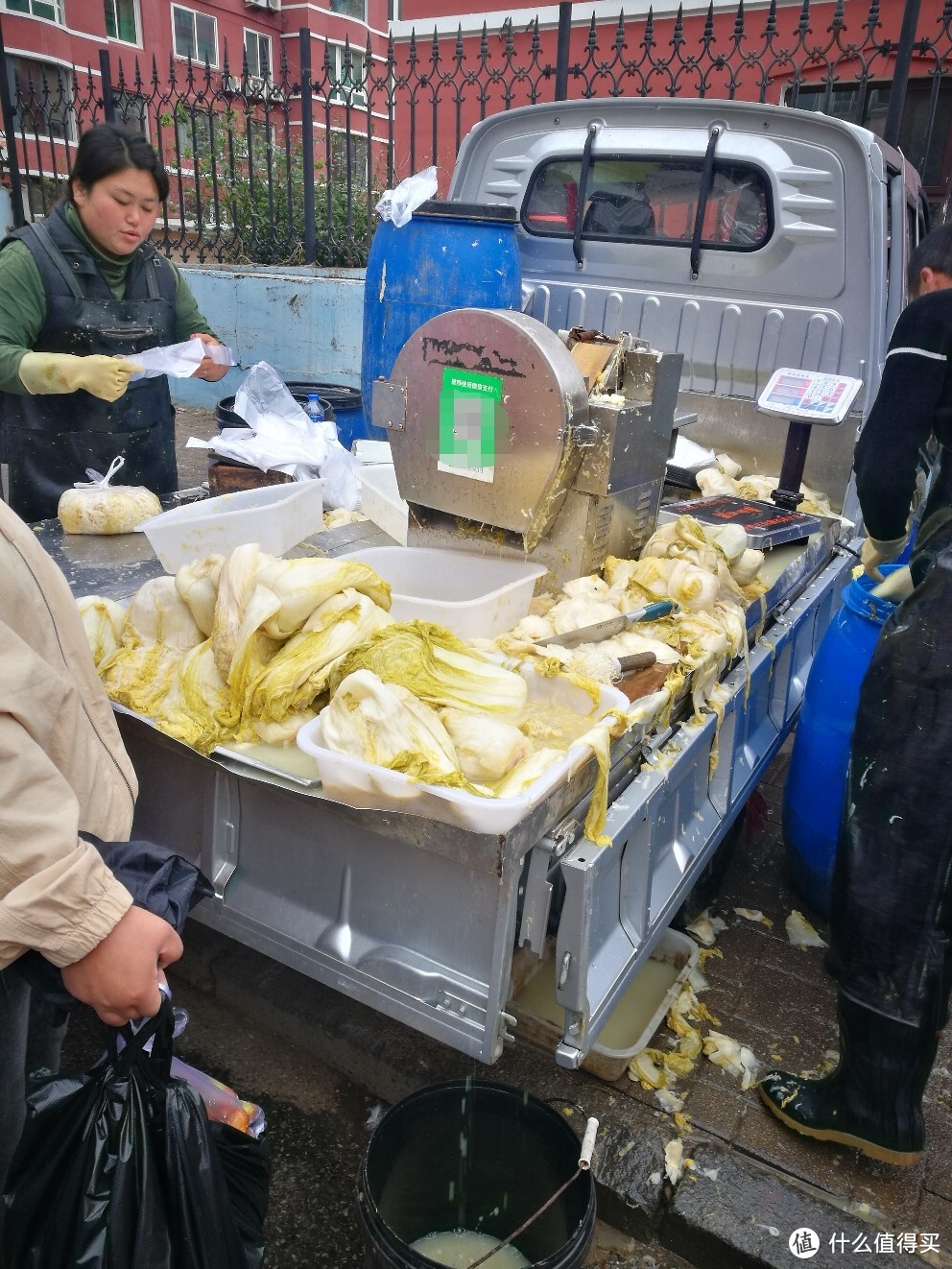 东北特产积酸菜，小两口生意特别好，免费切丝