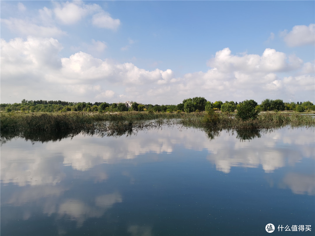 山东龙口旅游第五天参观黄水河湿地公园和万松浦书院