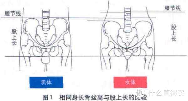 除了天生丽质和医学奇迹，在家如何用椭圆机get蜜桃臀