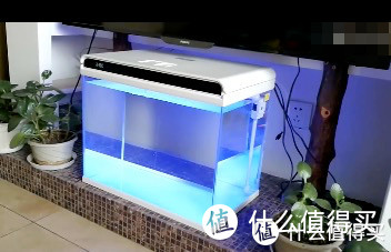 双十一宠物攻略｜水族必备！10件便宜好物推荐，最低2元钱！