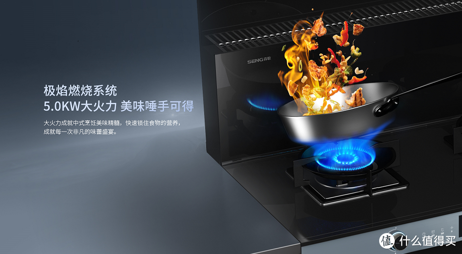 蒸烤一体机哪个品牌好 电蒸箱、蒸烤箱都不如森歌蒸烤一体集成灶和独立蒸烤集成灶好用