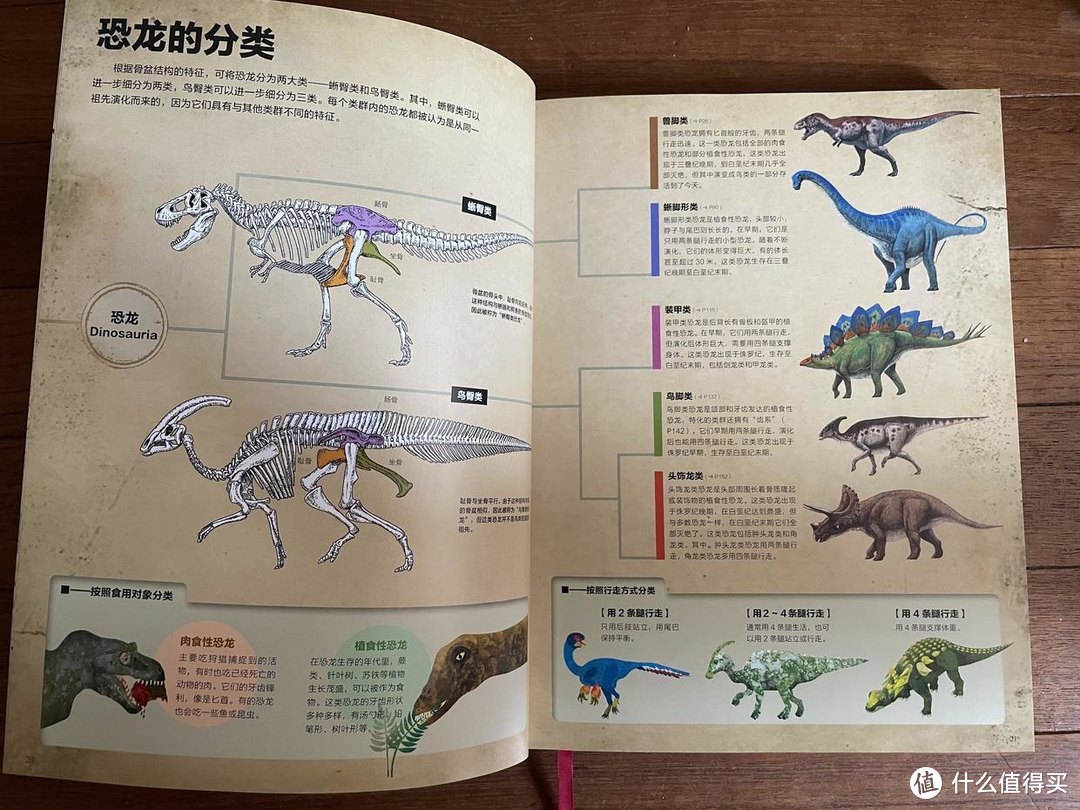 孩子对恐龙感兴趣？我用这8套书影音，满足孩子对恐龙的求知欲