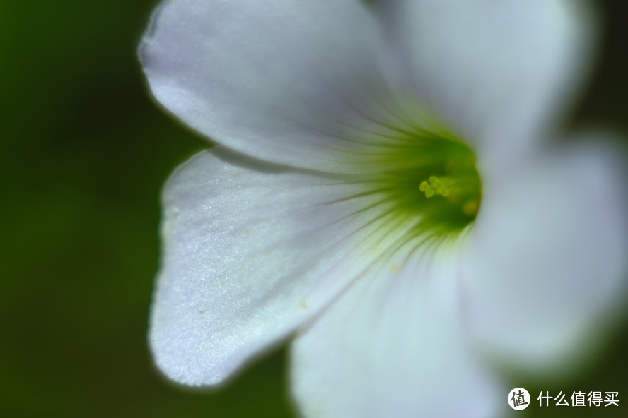 F2 + extension tube