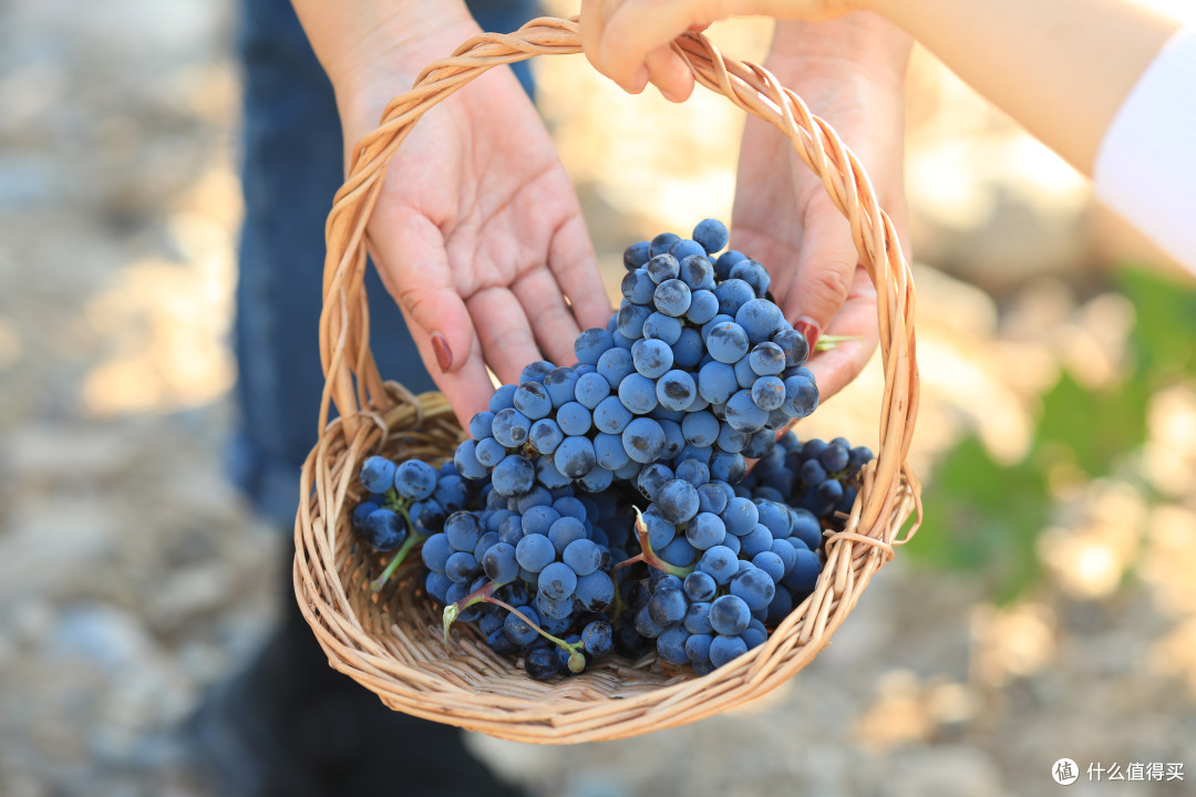 马瑟兰在中国的故事,酒圈的朋友还有不知道的吗?_葡萄酒_什么值得买