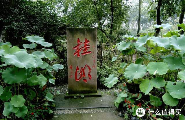 《茶馆》，一本书写尽成都茶馆文化的社会史和城市史