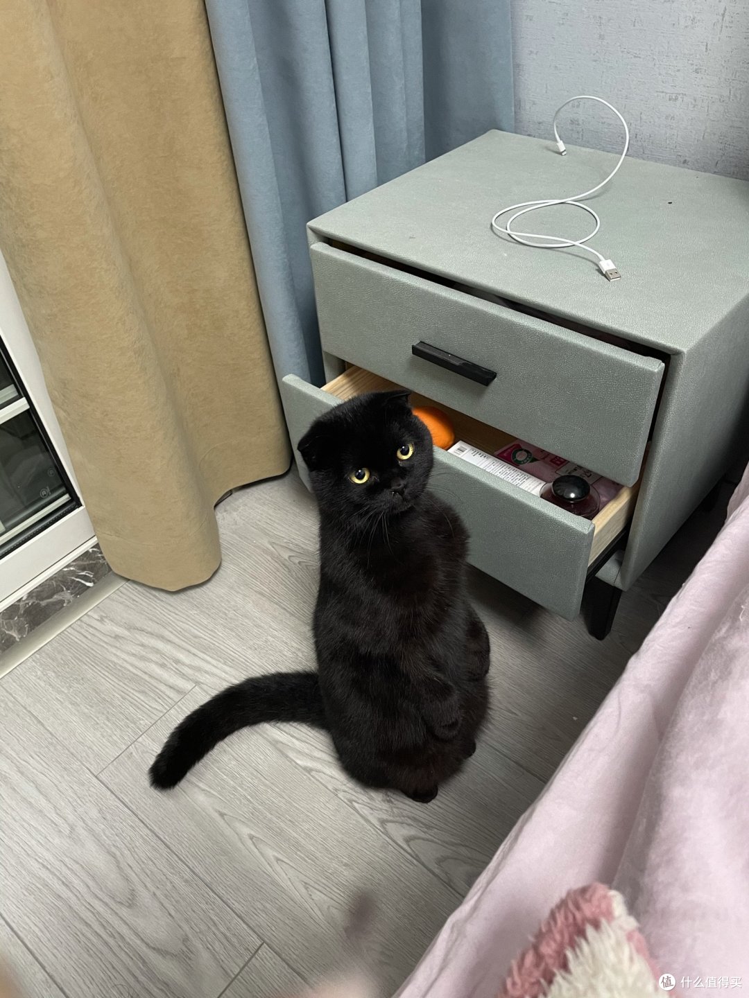 荣荣猪成长日记之如何骗猫咪喝水 宠物主粮 什么值得买 荣荣猪成长日记之如何骗猫咪喝水 宠物主粮 什么值得买