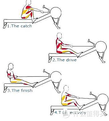 划船机为什么比跑步机 动感单车更适合家用？千元划船机应该怎么选？