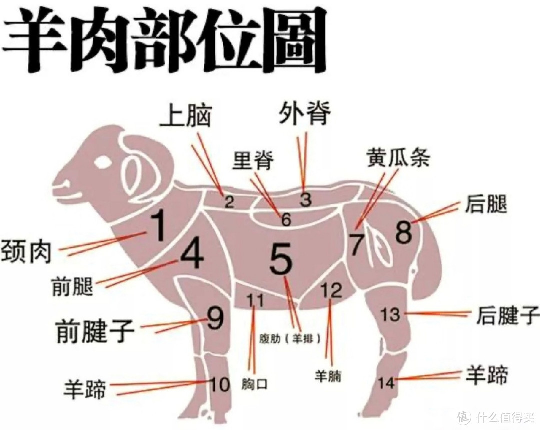 行家买羊肉，专买4个部位，价格便宜实惠，还比羊腩滋补美味