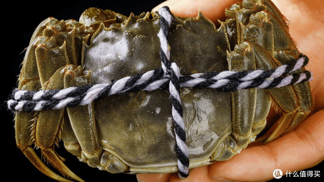 中国“10大螃蟹产地”，吃大闸蟹认准这些产地，膏肥黄满肉鲜嫩