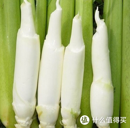 盘点那些非主流蔬菜食材，你爱吃吗？