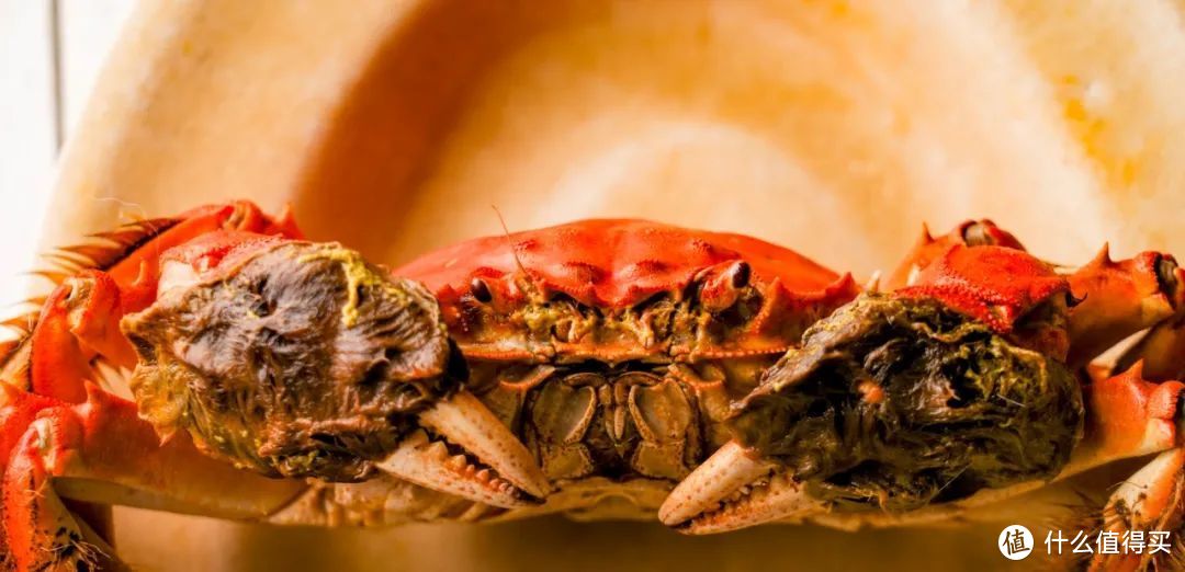 大闸蟹因掌部内外缘拥有密集的绒毛而拥有“中华绒螯蟹”的学名 ©️图虫创意