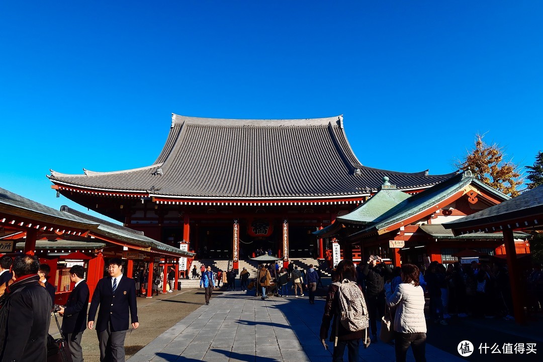 被张大妈送去日本旅行，是什么体验？