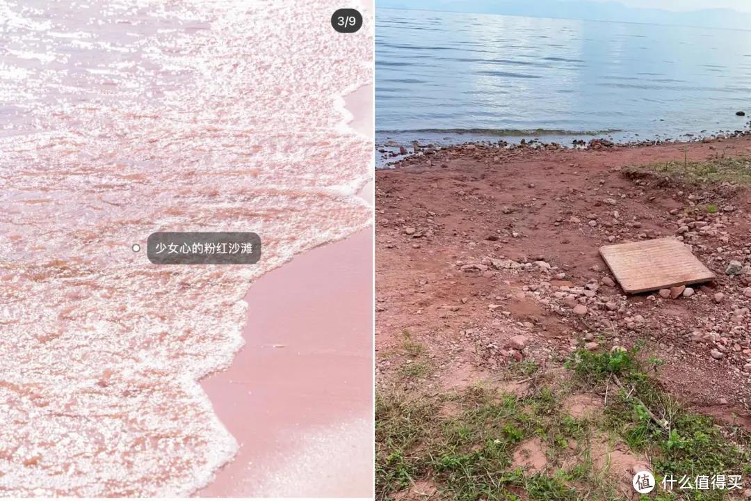网友们拍的“粉红沙滩”和现实中无滤镜图片