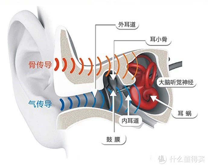 英伦风格新一代气传导技术尝鲜体验——Sanag A7S气传导蓝牙耳机