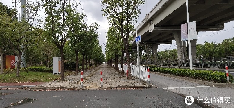 闵行区吴泾花卉市场/绿亮花博园/华东师范大学旁/被名字耽误的花卉市场