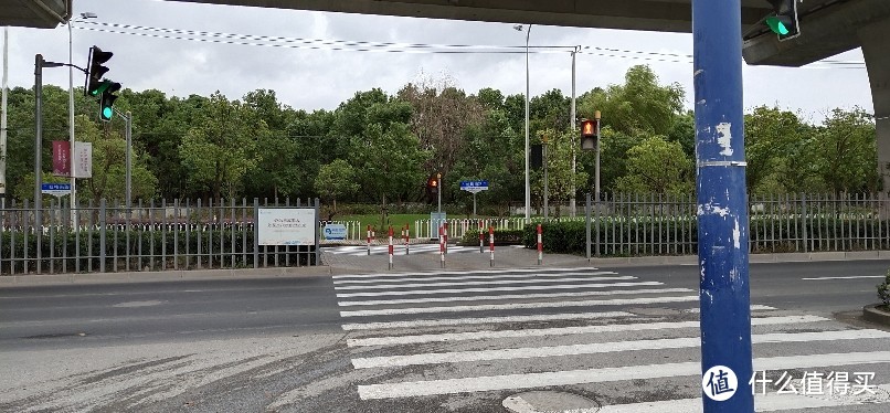 闵行区吴泾花卉市场/绿亮花博园/华东师范大学旁/被名字耽误的花卉市场