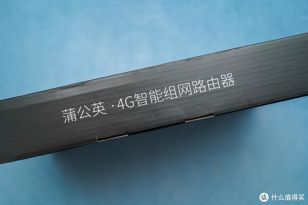 没有公网 IP 也能直连 NAS——4G 路由器蒲公英 X4C 体验