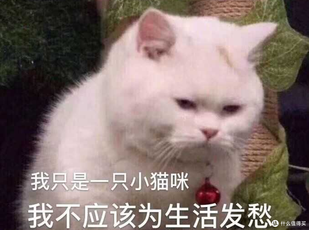 双十一省钱大作战,淘淘好价第三弹来袭!海尔、容声、西门子、博世 冰箱篇(下)