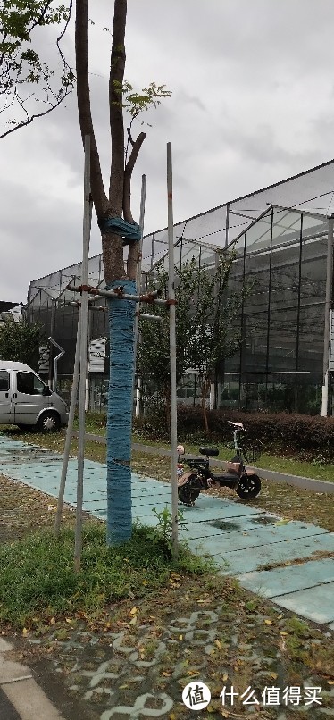 闵行区吴泾花卉市场/绿亮花博园/华东师范大学旁/被名字耽误的花卉市场