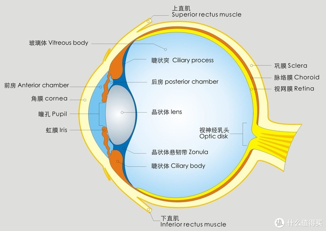 蔡司佳锐全链路线上配镜，给你不一样的新视界体验