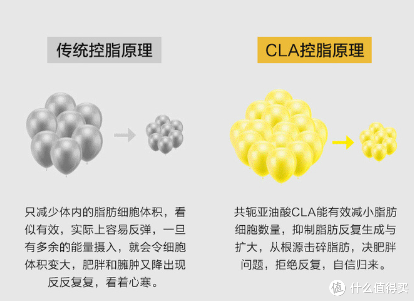 健身需不需要补剂？｜我来教你怎么买补剂