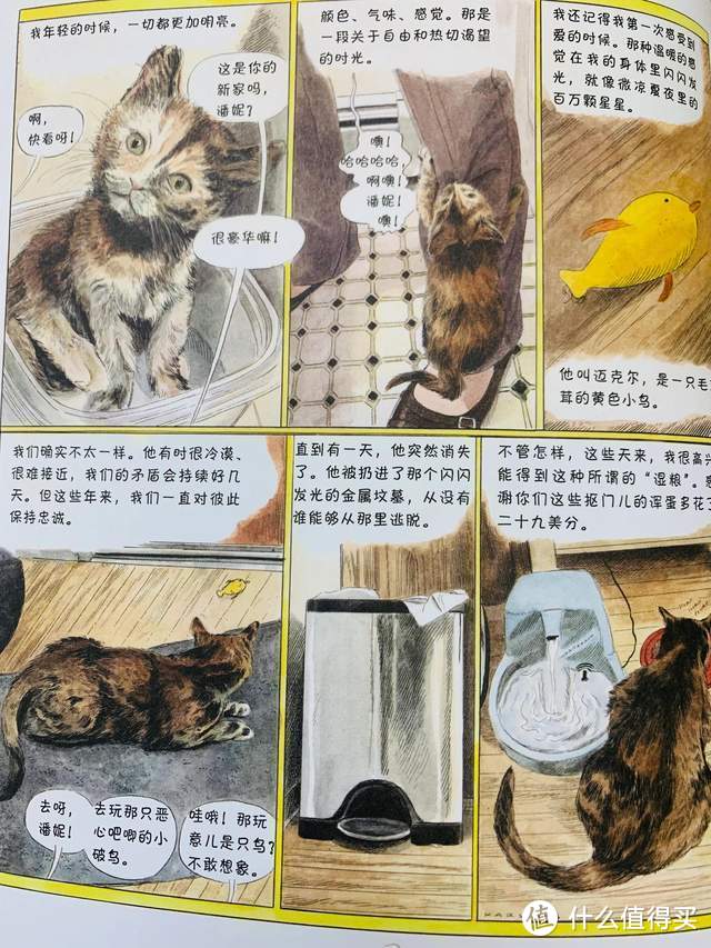 爆笑治愈的猫生漫画，你不是猫，你怎么知道猫怎么想？