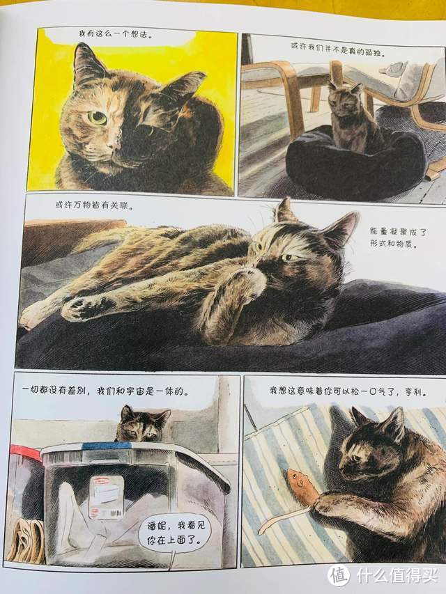 爆笑治愈的猫生漫画，你不是猫，你怎么知道猫怎么想？