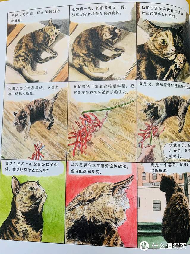 爆笑治愈的猫生漫画，你不是猫，你怎么知道猫怎么想？