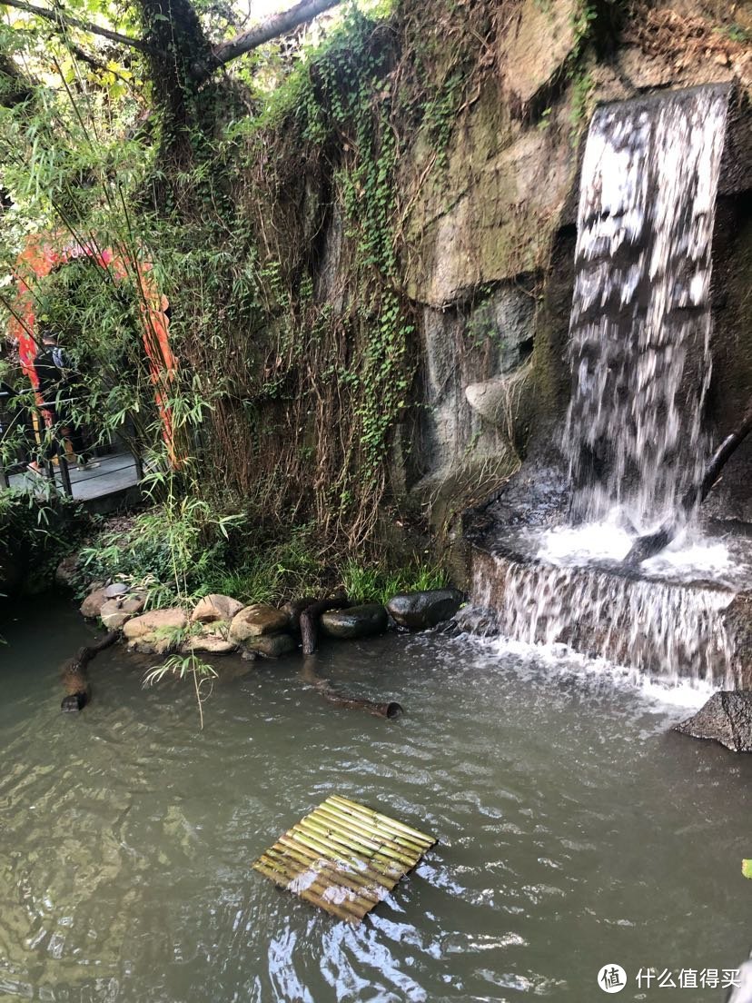 上海動物園遊覽記錄,長寧區虹橋路2381號,始建於1954原名西郊公園