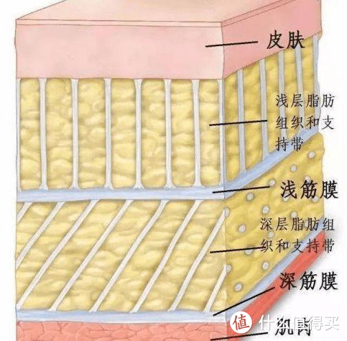 猛男运动搭档—筋膜枪怎么选，重量、稳定性、振幅深度等多维度横评比较，内含猪肉实测以及猛男真人兽~