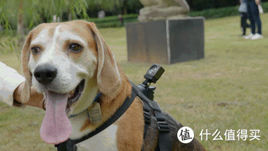 大疆Action 2运动相机性能测试及极限测试