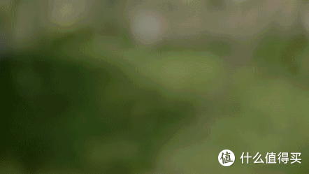 大疆Action 2运动相机性能测试及极限测试