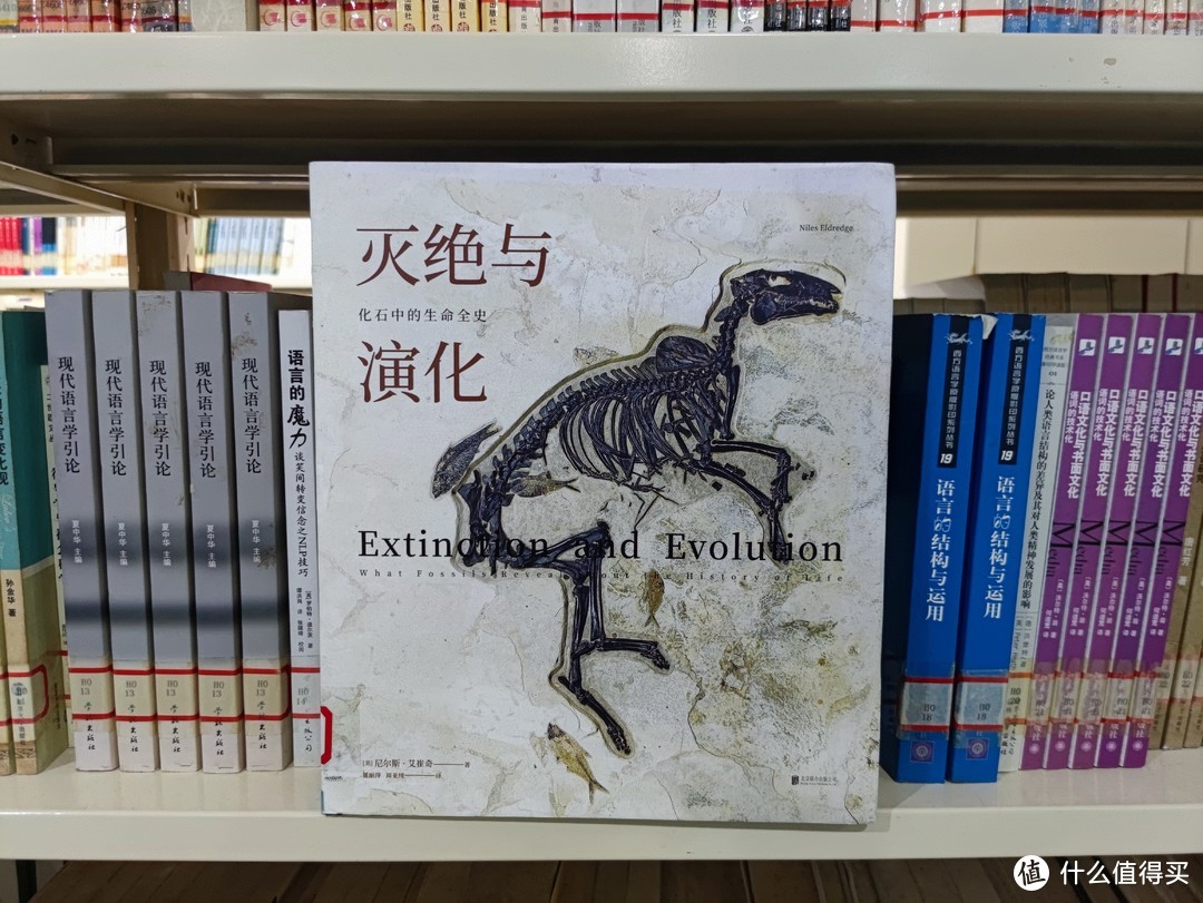 图书馆猿の2021读书计划60：《灭绝与演化：化石中的生命全史》