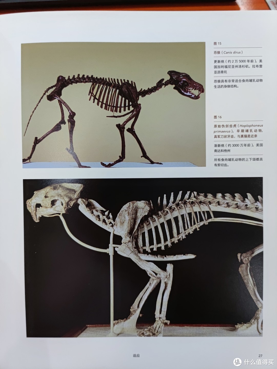 图书馆猿の2021读书计划60：《灭绝与演化：化石中的生命全史》