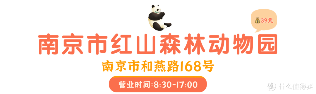 人均不到600，搞定南京3天2晚！暴走7w步，狂吃15顿，太满足了！