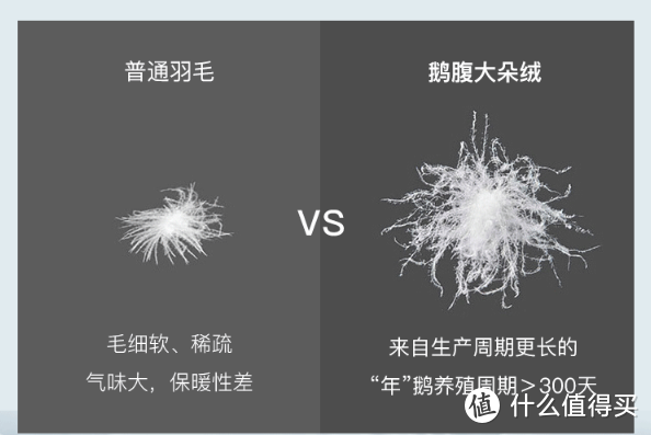 二入高性价比之选：网易严选新款抗菌95%白鹅绒被