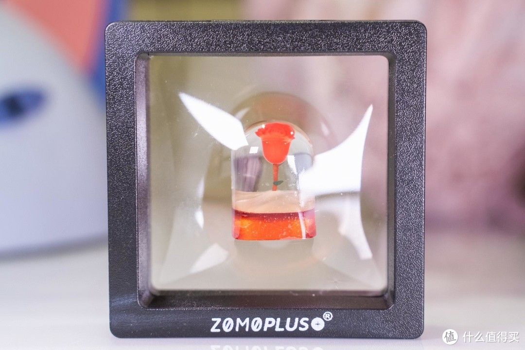 仿佛回到了那个起点：ZOOM 玫瑰 3D 打印键帽&大象金属键帽