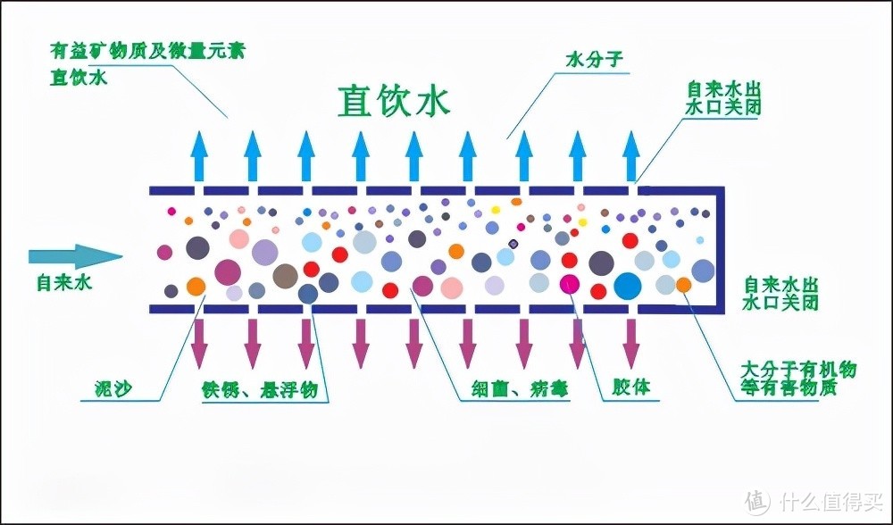 （图片来源于网络）