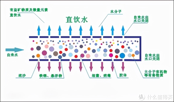 （图片来源于网络）