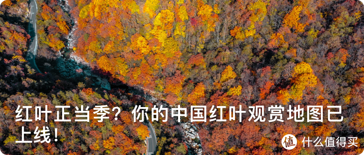 华夏风物联合《中国旅游报》，票选中国最美红叶
