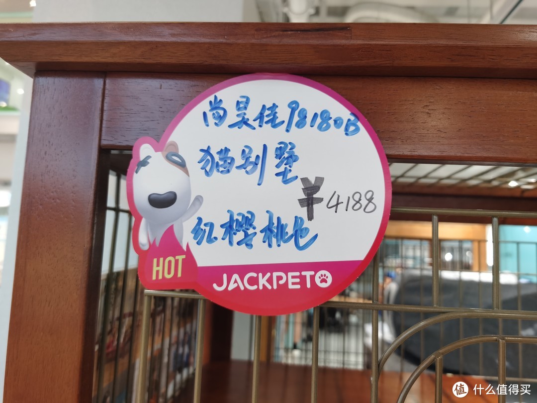 南京丨亚洲最大的宠物乐园极宠家，可以免费玩的萌宠乐园