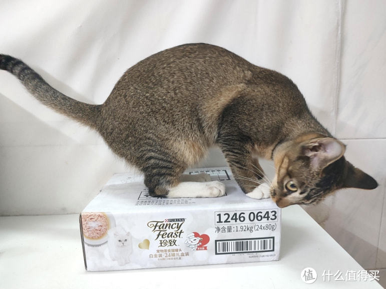 猫食界的“佛跳墙”，珍致猫零食罐头白金罐开箱体验