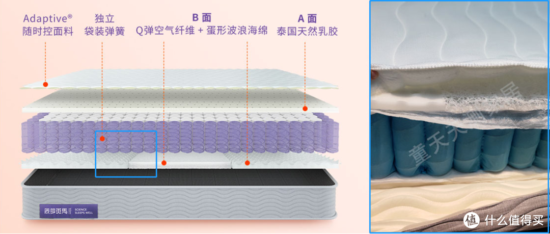 卷包床垫到底能不能买？预算3k左右选蓝盒子？Qrua？还是菠萝斑马？