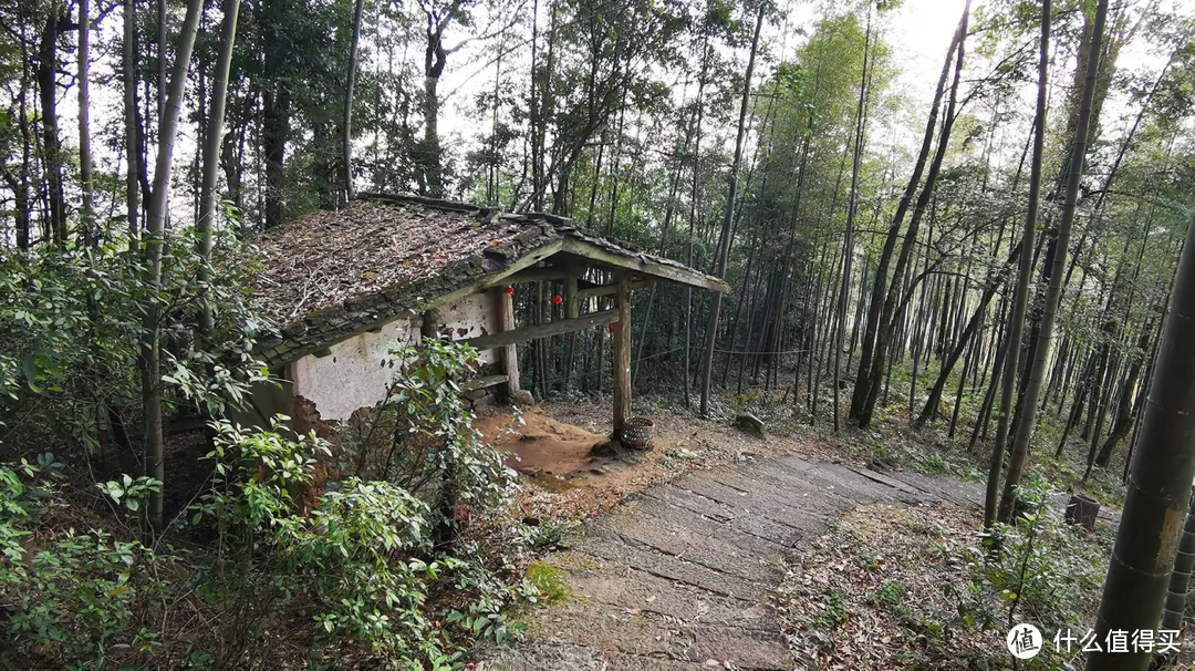 福建发现齐天大圣墓孙悟空竟真实存在